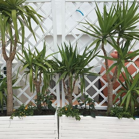 Panorama Da Cartolina Apartment Ischia Exterior photo
