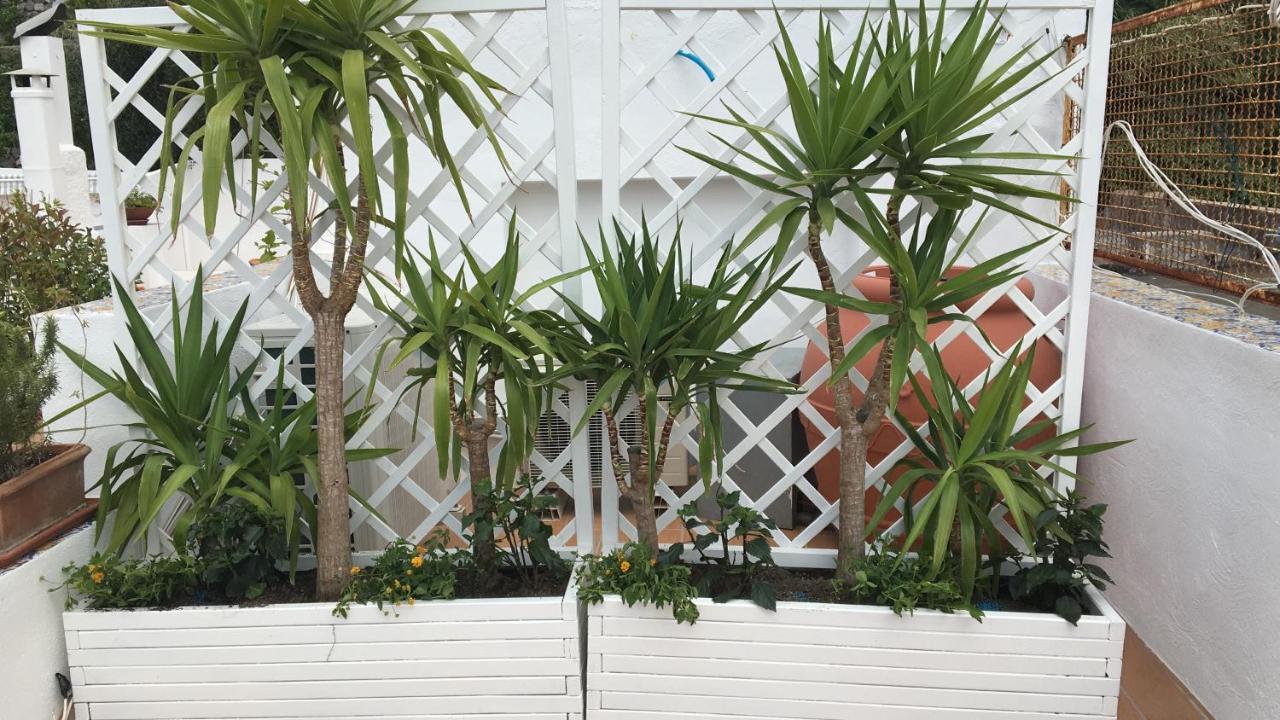 Panorama Da Cartolina Apartment Ischia Exterior photo