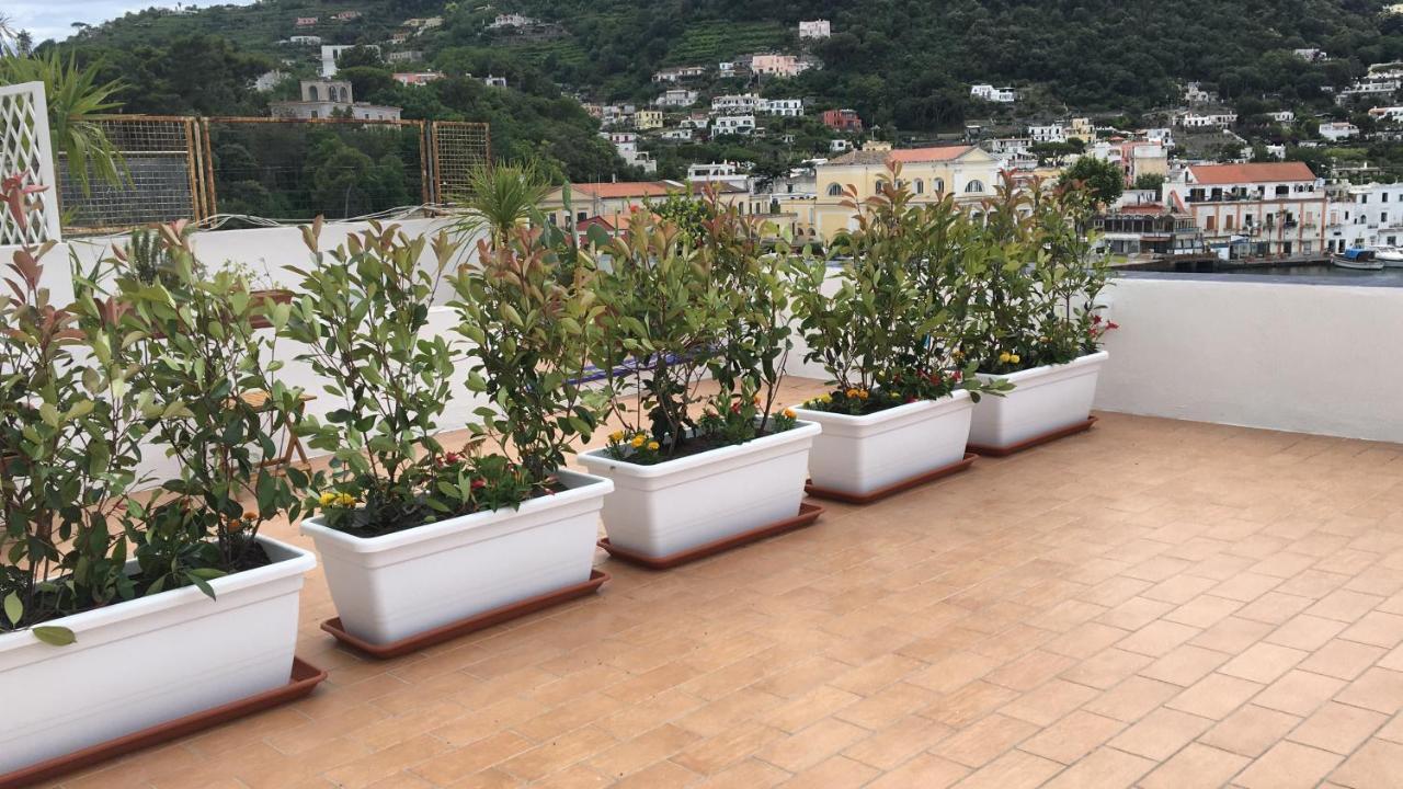 Panorama Da Cartolina Apartment Ischia Exterior photo